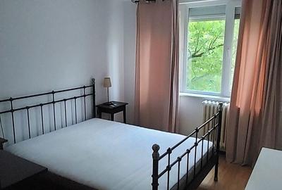 Apartament cu 2 camere decomandat în Valea Oltului - 4