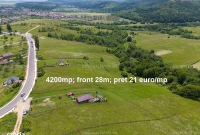 Spațiu comercial, în Vulcan - 7