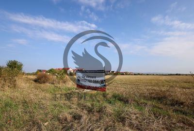 Teren agricol extravilan de 5050 mp, în Blejoi - 1