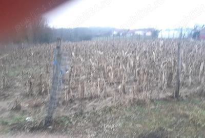 Casă cu 2 camere în Zegujani - 1