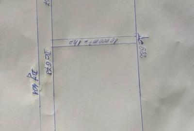 Teren de 10000 mp, în Lipia - 2