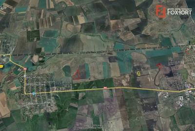 Teren de 27625 mp, în Beregsău Mare - 2