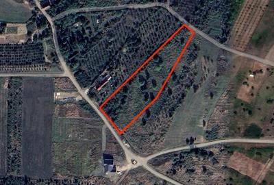 Teren Construcții intravilan de 4910 mp, în Podgoria