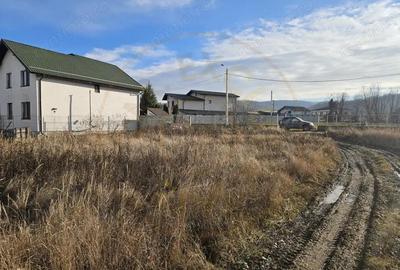 Teren de 1250 mp, în Bascov - 6