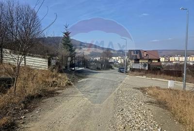 Teren Construcții intravilan de 500 mp, în Calea Romanului - 5