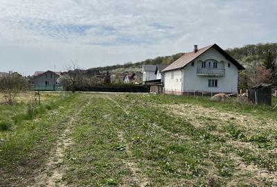 Spațiu comercial, în Unirea - 3