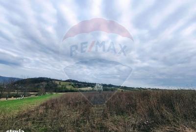 Spațiu comercial, în Copalnic - 11