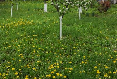 Casă cu 2 camere în Dersca - 1