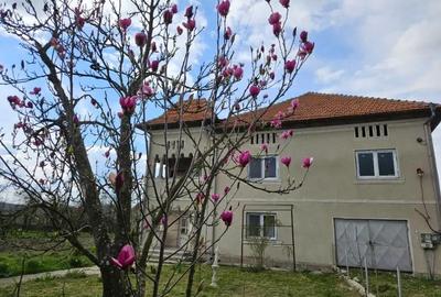 Casă cu Teren 3000 Mp în Sinești - 5