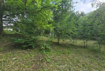 Casa 187Mp suprafat utila in zona centrala a Sighisoarei - 17