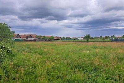 RECO Teren  intravilan in Cefa
