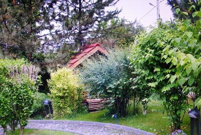 Vanzare vila cu D+P+Et +M, intravilan 1670 mp, Saftica - 39