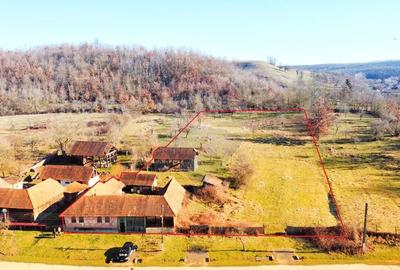 Casă individuală cu 4 camere cu Teren 10486 Mp în Ierșnic - 1