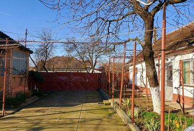 Casă cu 6 camere cu Teren 2984 Mp în Chișineu-Criș - 5