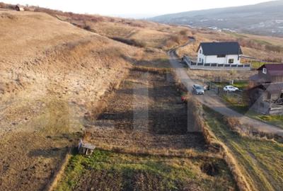 Teren de 1300 mp, în Chinteni