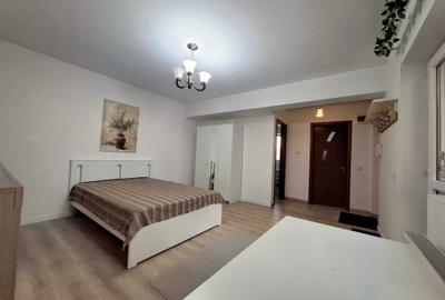 Garsonieră decomandată în Dristor - 2