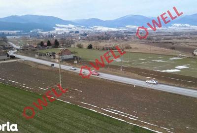 Teren de 4100 mp, în Tușnad - 5