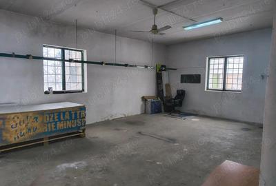 Spațiu comercial, de 70 mp, în Tinca - 1