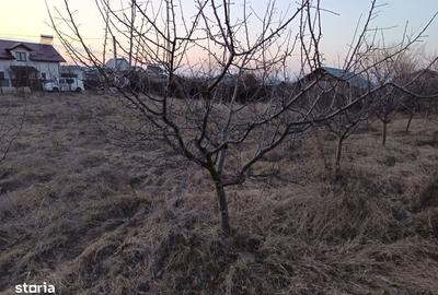 Spațiu comercial, în Valea Ursului - 2