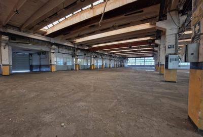 Hala industriala  InCity (3000 kw)+ birouri, Tatarasi - COMISION 0% - 14