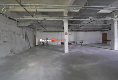 Spațiu comercial, de 1,500 mp, în Vașcău - 9