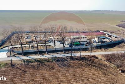 Spațiu comercial, de 2,800 mp, în Tecucelu Sec - 8