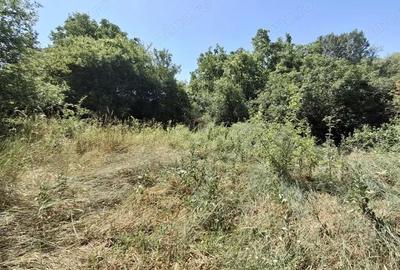 Teren intravilan parcelabil 1.500 mp zona Facliei - 2