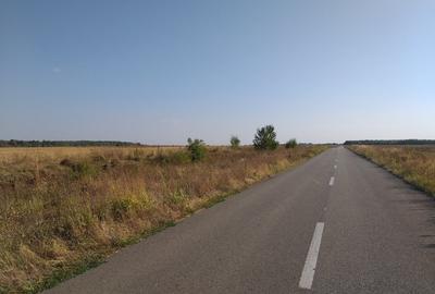 Teren agricol extravilan de 270000 mp, în Bâldana