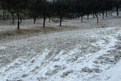 Teren de 3400 mp, în Petros - 4