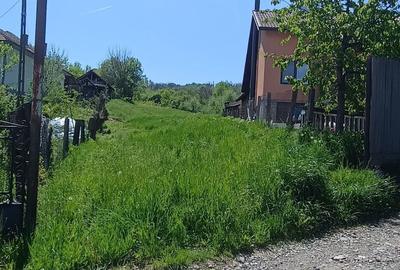 Teren de 1000 mp, în Păușești - 4