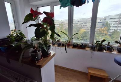 Apartament 4 camere de vanzare Lujerului (3 minute de Metrou-Bloc Anvelopat) - 17