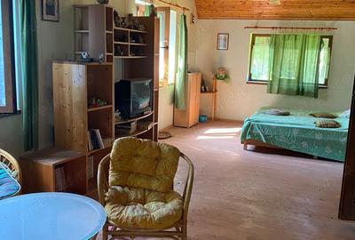 Proprietar, vand casa parter+etaj, 150 mp, curte 3438 mp, Avram Iancu - 6