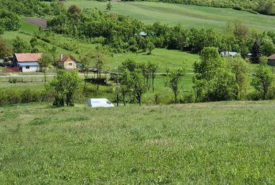 Teren de 3500 mp, în Bârlea - 1