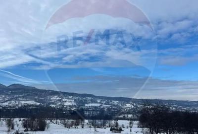 Teren de 10054 mp, în Mănăstirea - 1