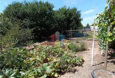 Casa de vacanta, Cazasu cu suprafata generoasa teren 824mp - 2