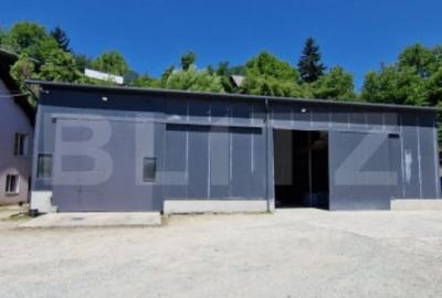 Casă cu 7 camere cu Teren 5000 Mp în Năsăud - 3