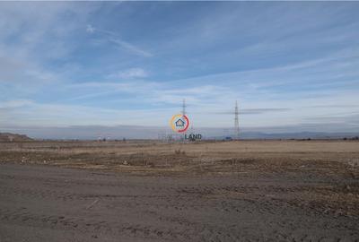 Teren pentru constructii industriale 4.800 mp - 9