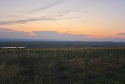 Teren de 3000 mp, în Bosanci - 2