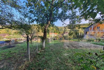 Teren intravilan, podul Jelnei foarte aproape de oras,11 Ari Teren intravilan, podul Jelnei foarte aproape de oras,11 Ari - 3