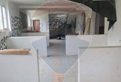 Spațiu comercial, de 1,650 mp, în Baia de Fier - 13