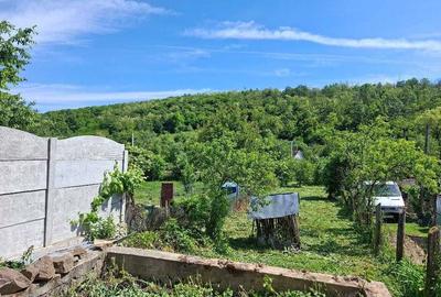 Casă în Cladova - 2