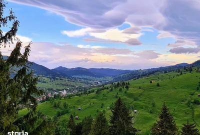 Teren de 26350 mp, în Vama - 2