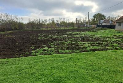 Teren Construcții intravilan de 900 mp, în Rasa - 1