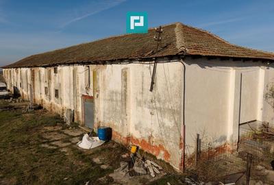 Hală industrială cu teren generos în Zărand, Arad - 10