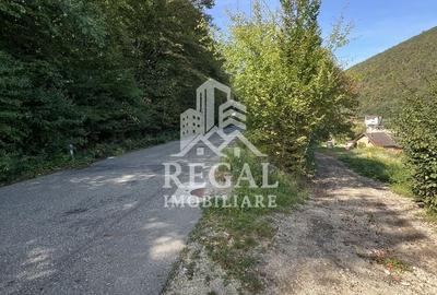 Teren extravilan de 730 mp, în Central - 2