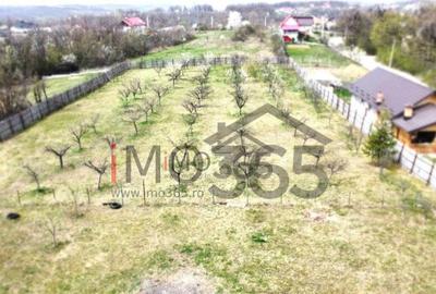Teren Lupueni - Babana - intravilan 1025mp - 4
