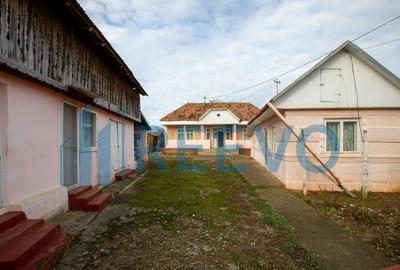 Casa si teren 3365mp Sascut - 1