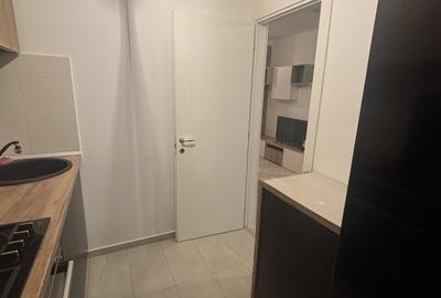 Garsonieră decomandată, mobilată în Theodor Pallady - 8