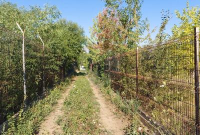 Vanzare teren Saftica strada Calea Bucuresti - 5