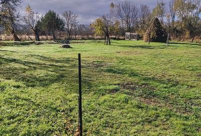 Spațiu comercial, în Petrila - 3